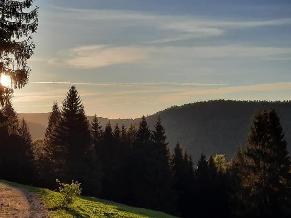 Gehlberg Thüringer Wald
